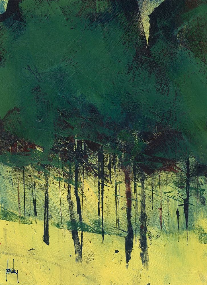 Pine Copse art print by Paul Bailey for $57.95 CAD