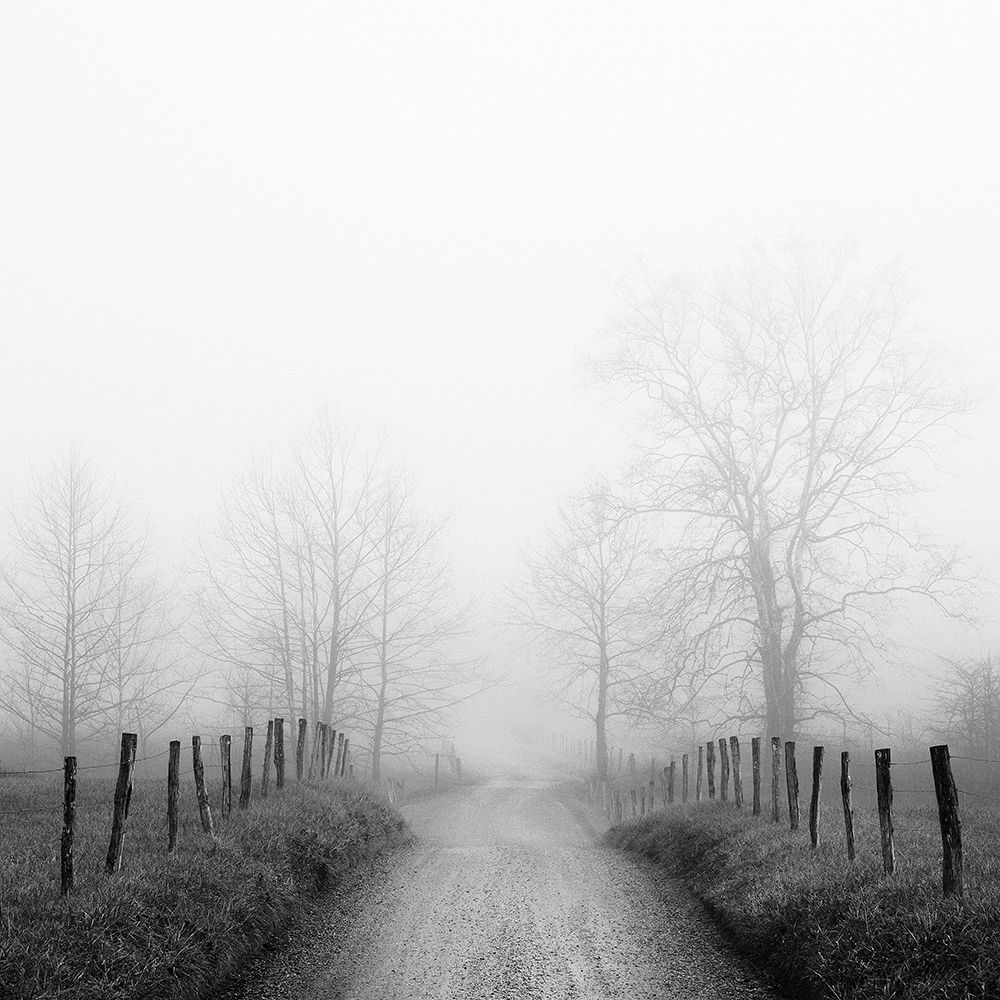Sparks Lane in Fog art print by Nicholas Bell for $57.95 CAD