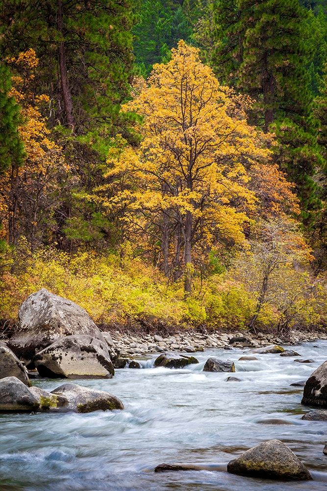 Autumn Across The River art print by Michael Broom for $57.95 CAD