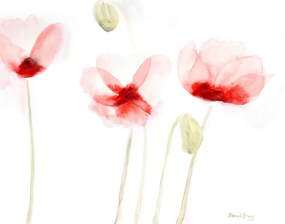 Poppies From Memory art print by Janel Bragg for $57.95 CAD