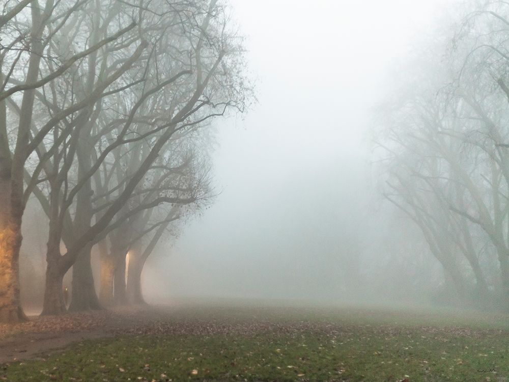 Intriguing Beginnings art print by Kent Burkhardsmeier for $57.95 CAD