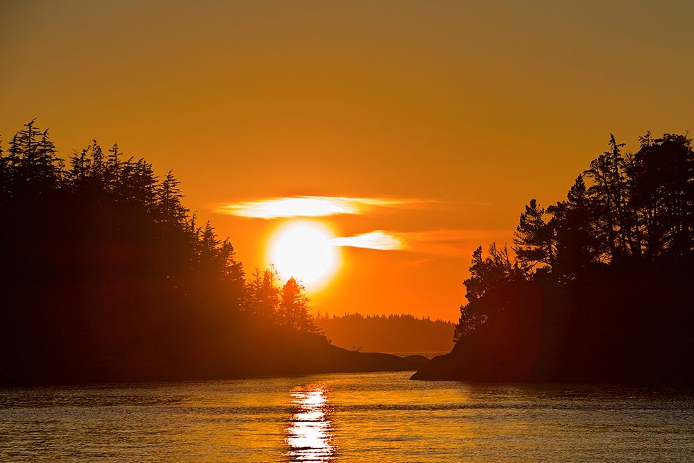 Sunlit Passage art print by Chuck Burdick for $57.95 CAD