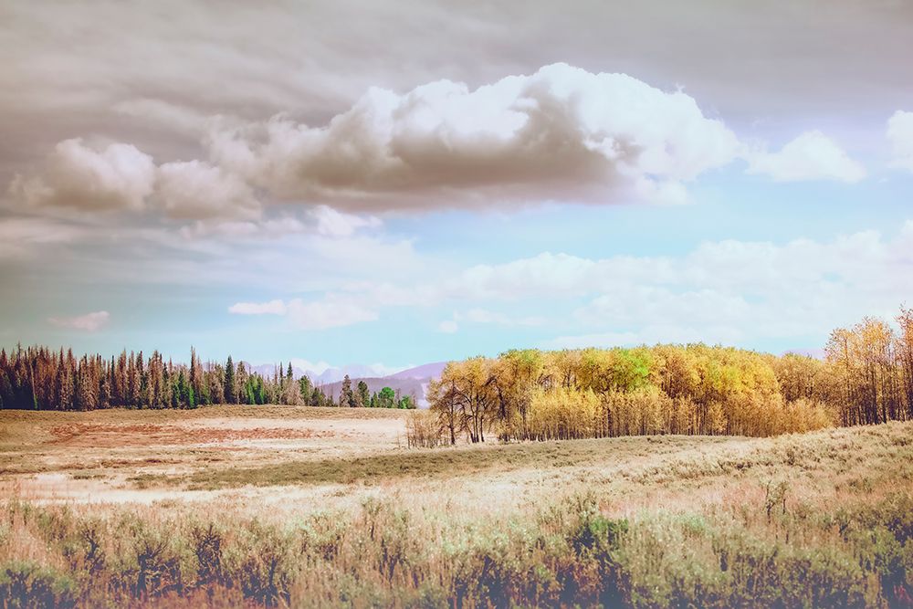 Wyoming Soft Fall Colors art print by Christy Berry for $57.95 CAD