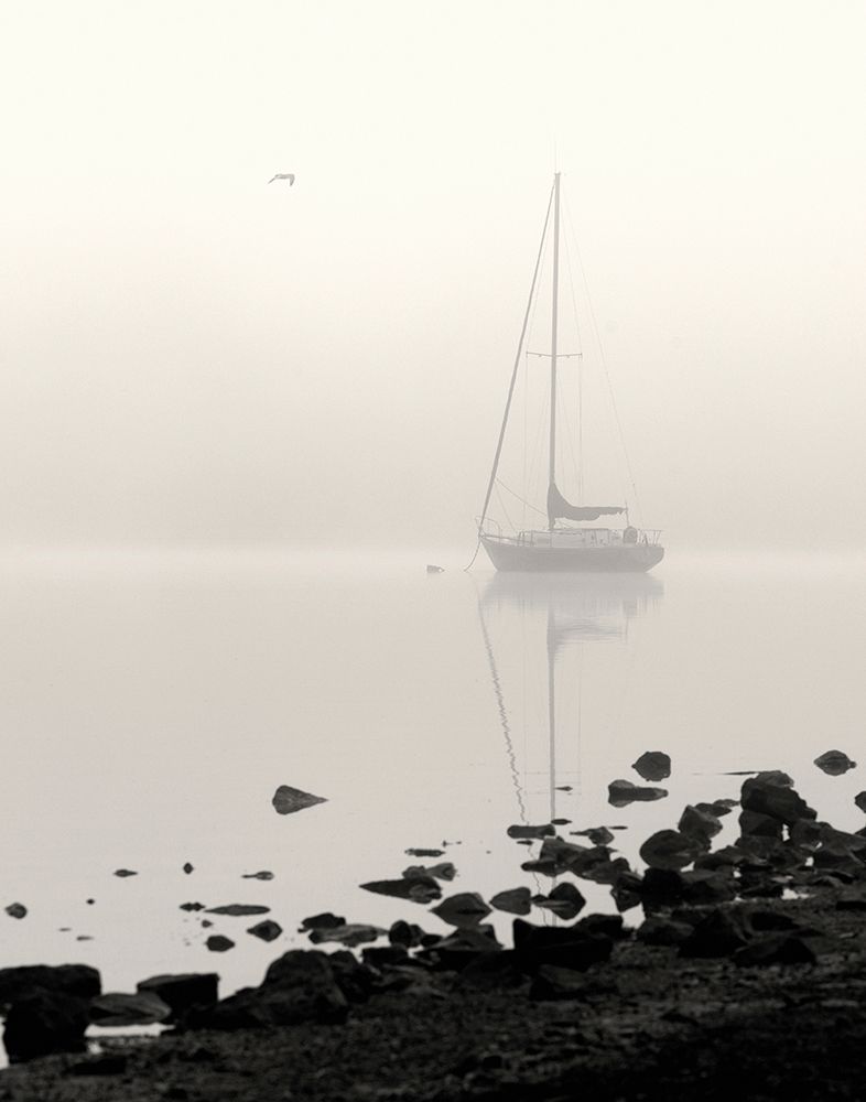 Moored in Fog art print by Nicholas Bell for $57.95 CAD
