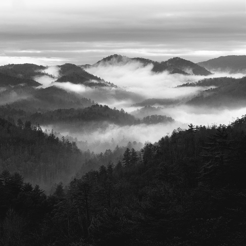 Smoky Mountains After Rain art print by Nicholas Bell for $57.95 CAD
