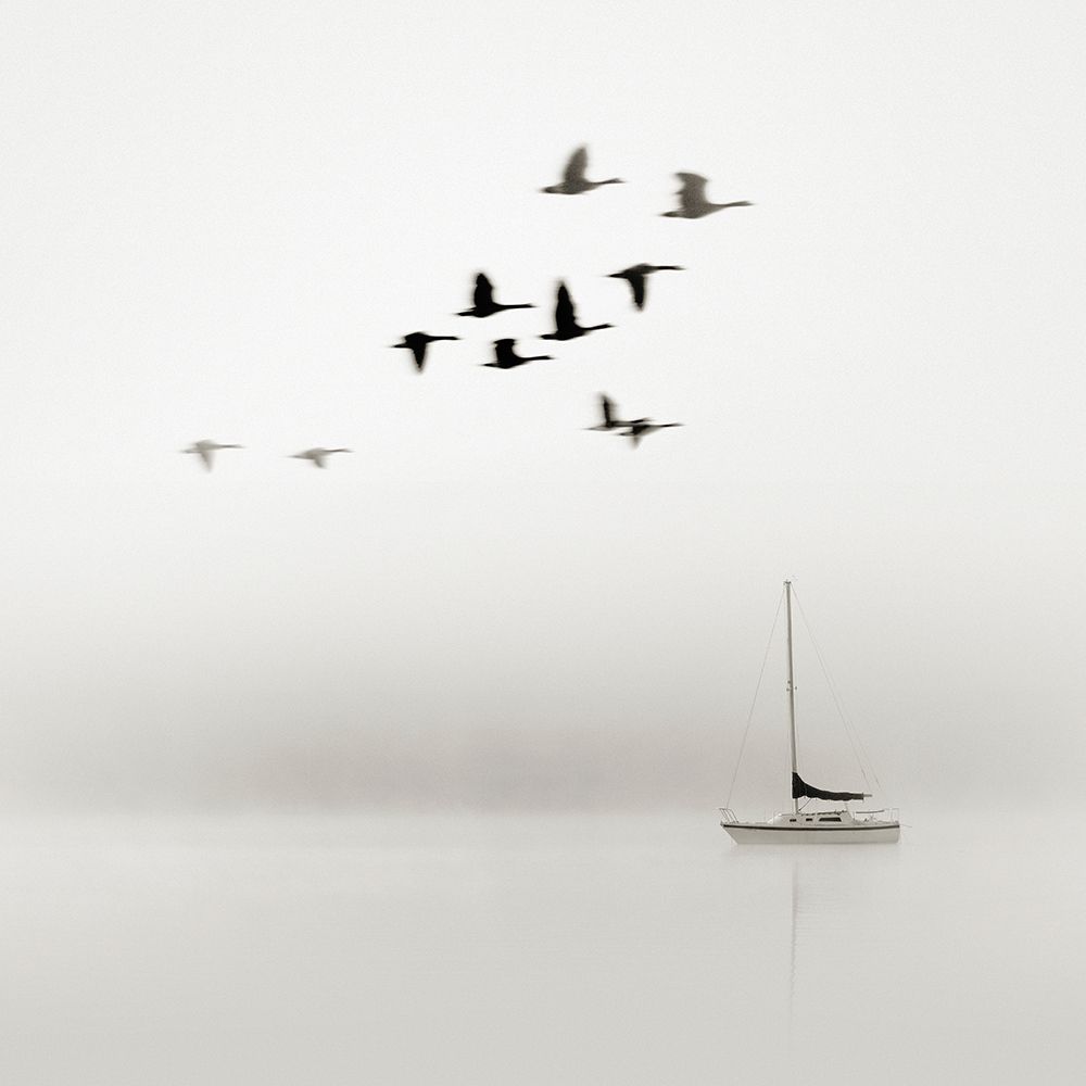 Windward No. 3 art print by Nicholas Bell for $57.95 CAD
