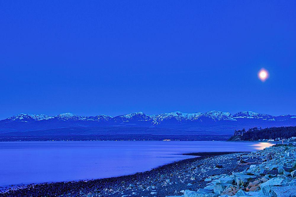 Moonlight art print by Chuck Burdick for $57.95 CAD