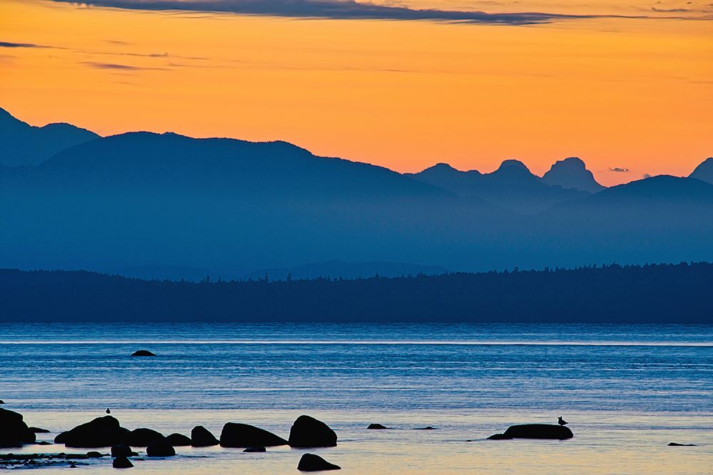 Morning Pause art print by Chuck Burdick for $57.95 CAD