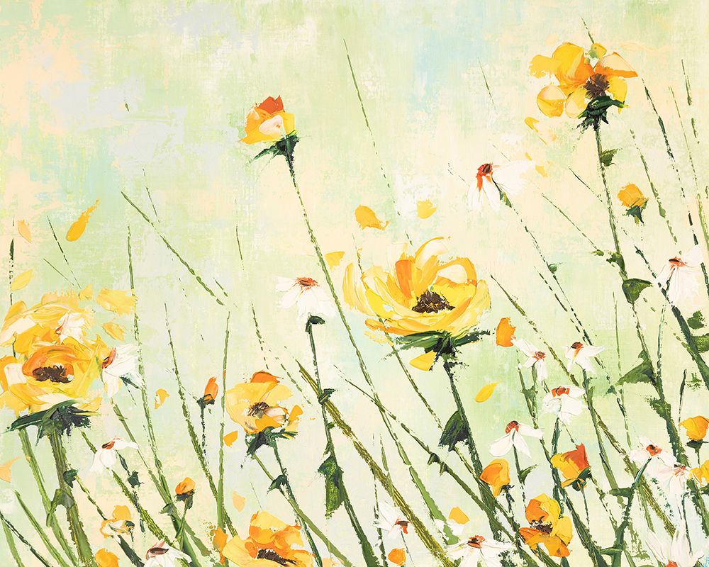 Chrysanthemum and Daisy Field art print by Emma Coghlan for $57.95 CAD