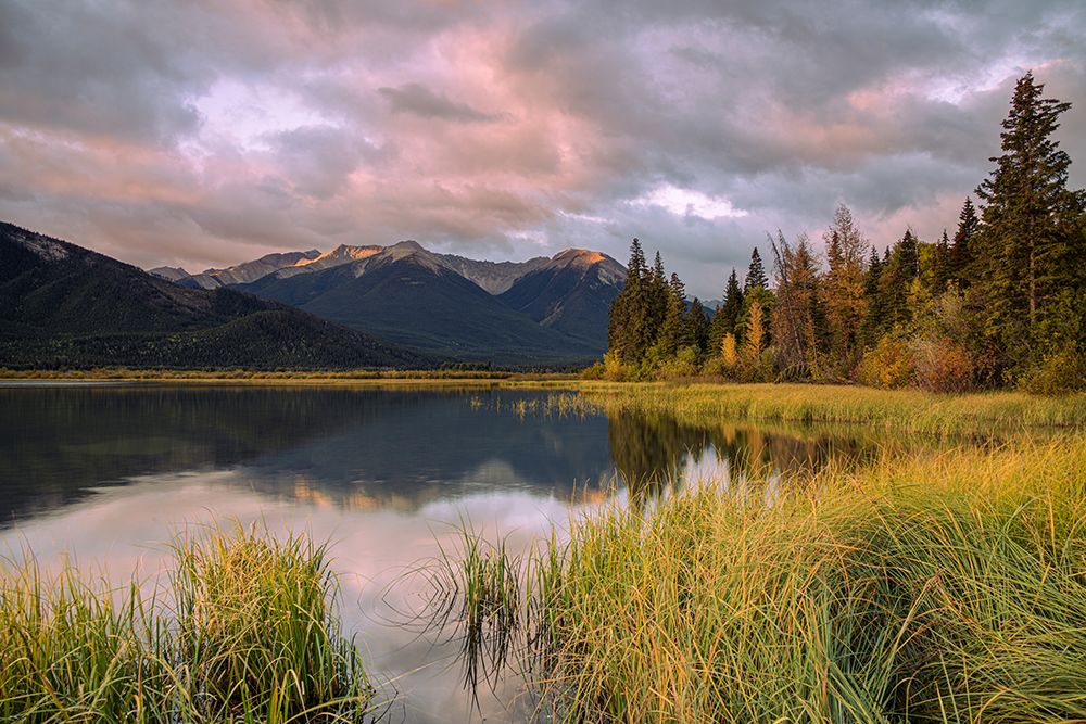 Sunrise at Vermillion Lakes, Canadian Rockies art print by Margaret Clavell for $57.95 CAD