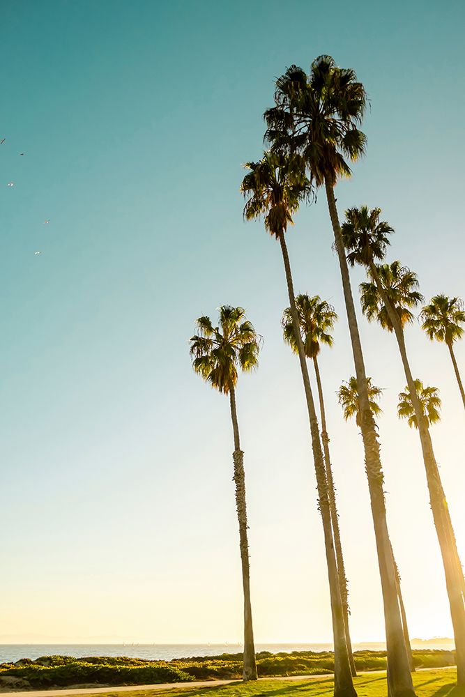 Palms and Ocean ΓÇô An Inseparable Pair art print by Elena Chukhlebova for $57.95 CAD
