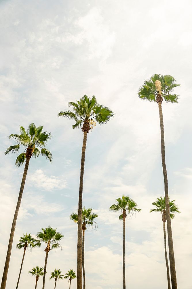 California Giants art print by Elena Chukhlebova for $57.95 CAD
