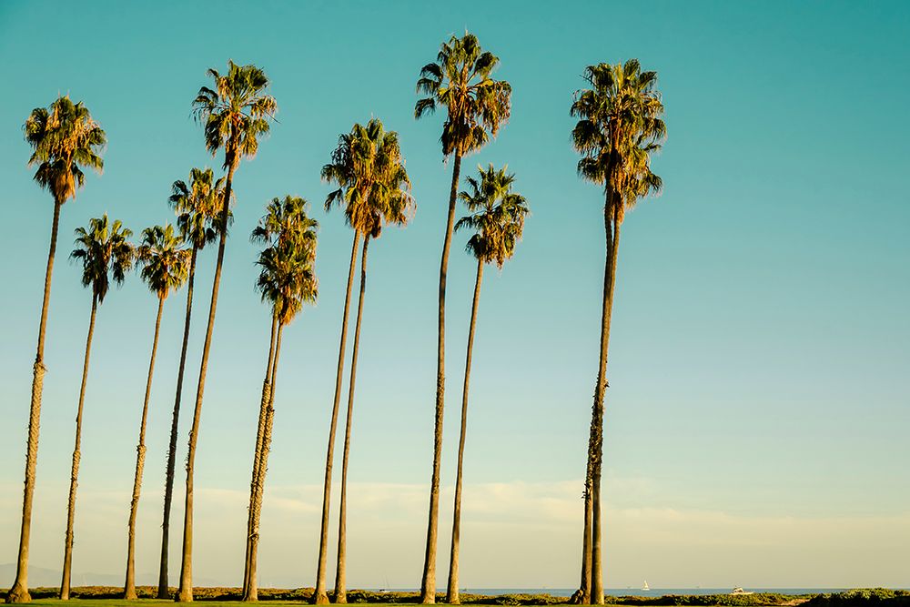 Under the California Sky art print by Elena Chukhlebova for $57.95 CAD