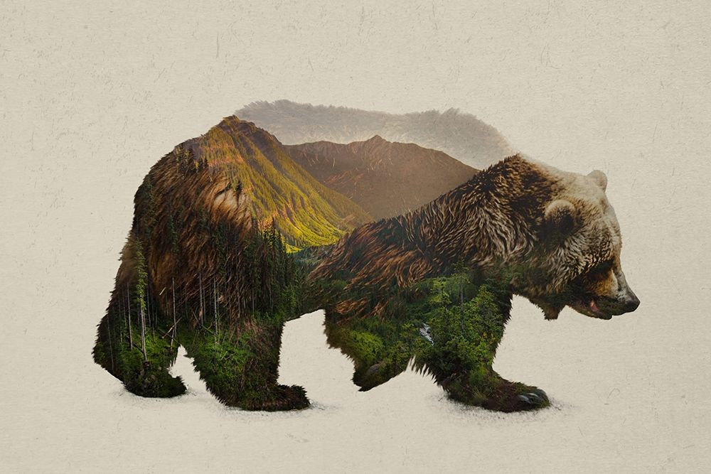North American Brown Bear art print by Davies Babies for $57.95 CAD