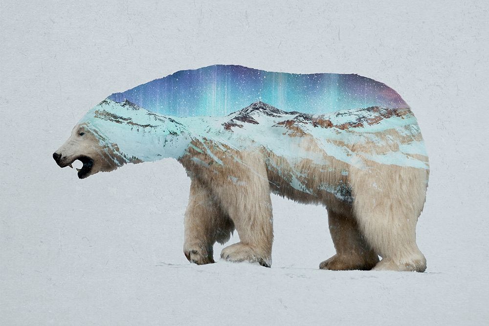 The Arctic Polar Bear art print by Davies Babies for $57.95 CAD