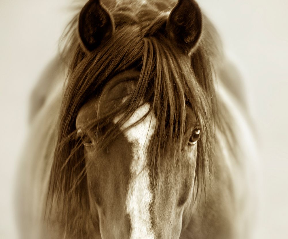 Ghost Horse art print by Lisa Dearing for $57.95 CAD