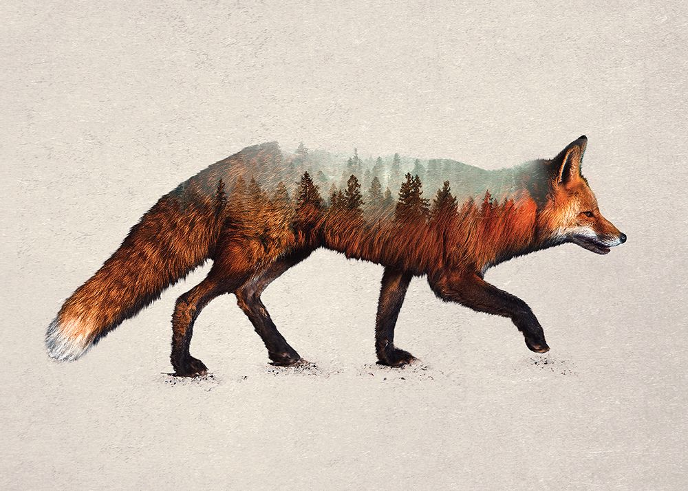 The Red Fox art print by Davies Babies for $57.95 CAD