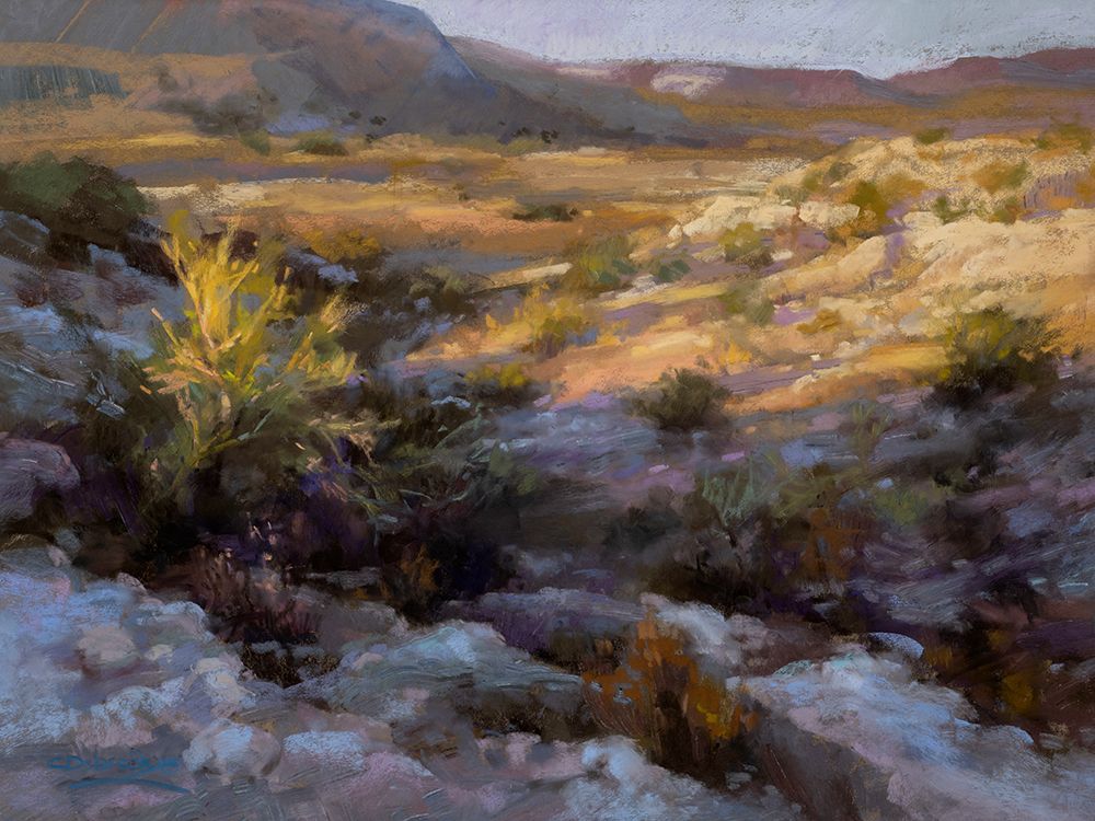 Thats the Way the Caliche Crumbles art print by Christine Debrosky for $57.95 CAD