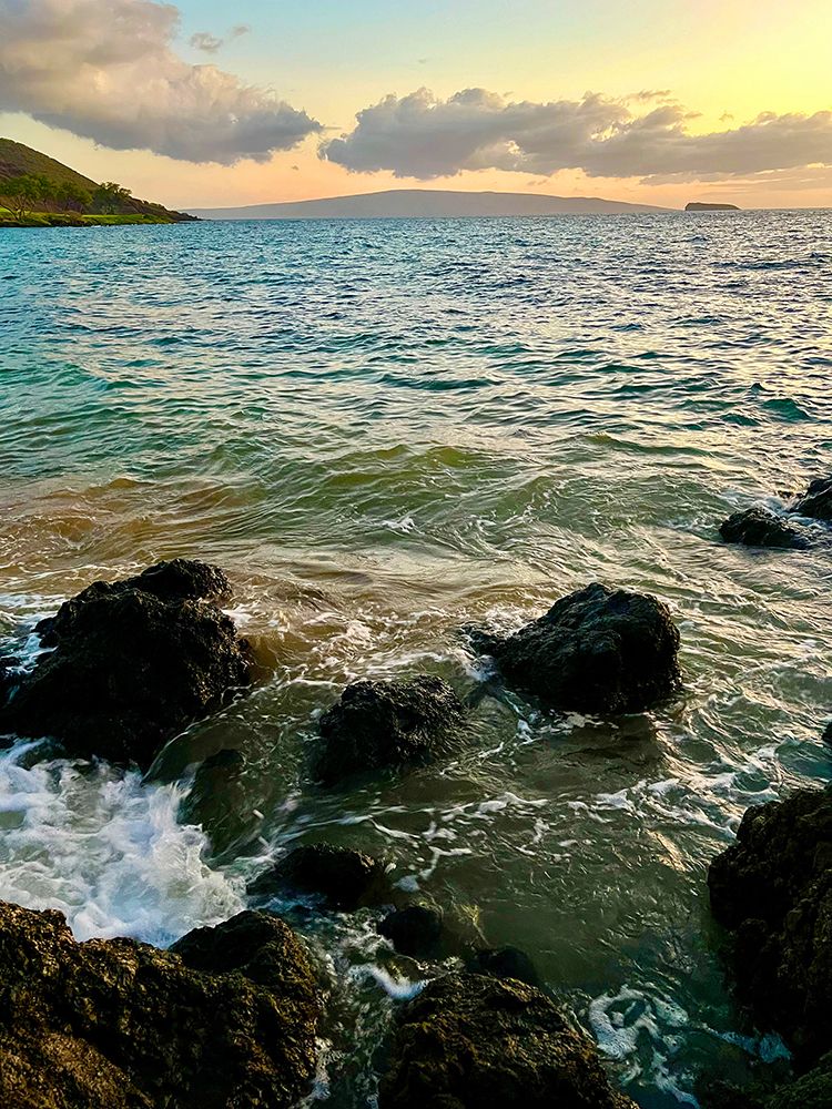 Maluaka Beach art print by Nicole Dell for $57.95 CAD