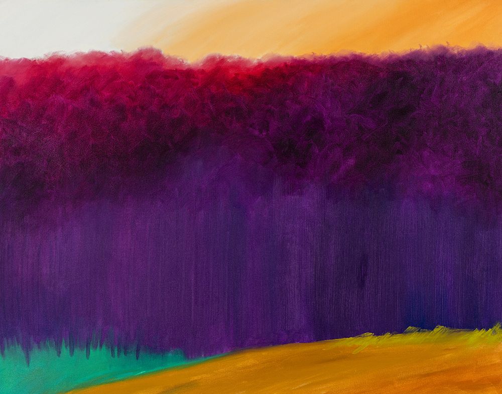 Contour Fields to Wall of Trees, Sunset art print by Horace Day for $57.95 CAD