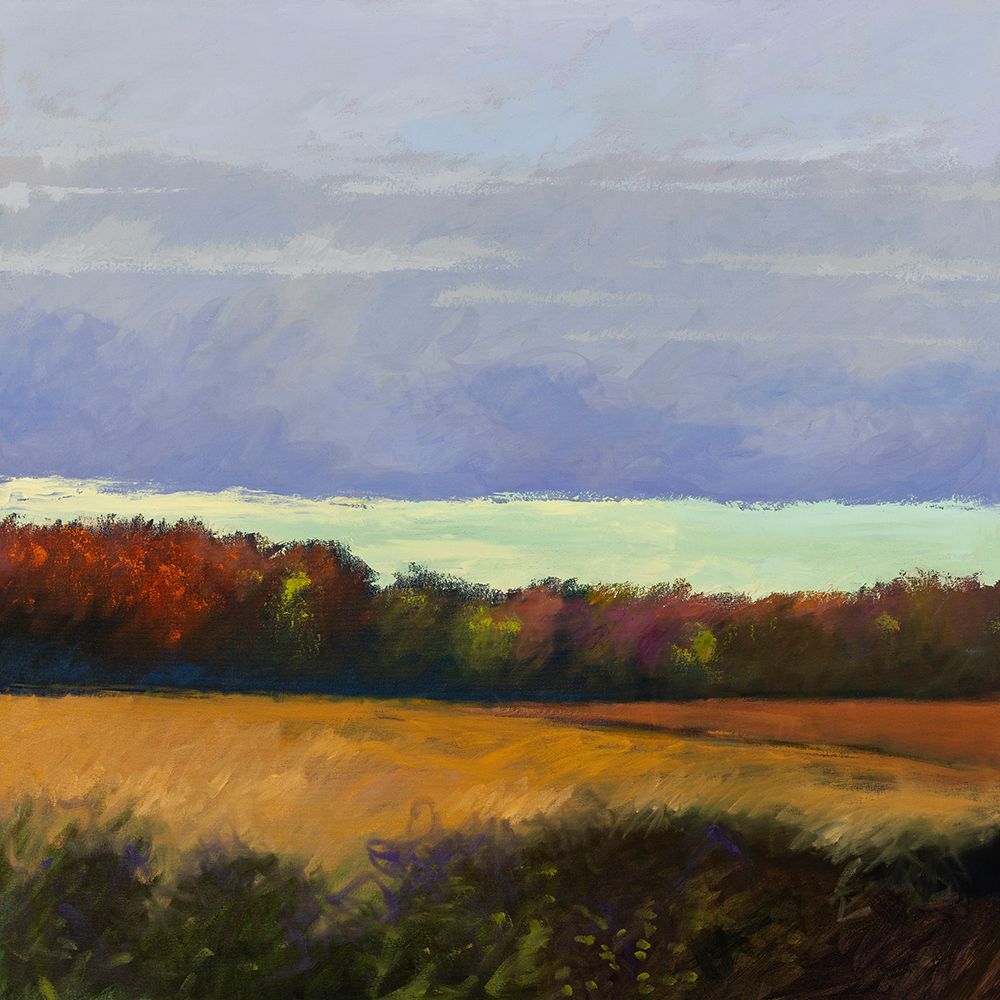 Storm Front with Green Sky 1 art print by Horace Day for $57.95 CAD