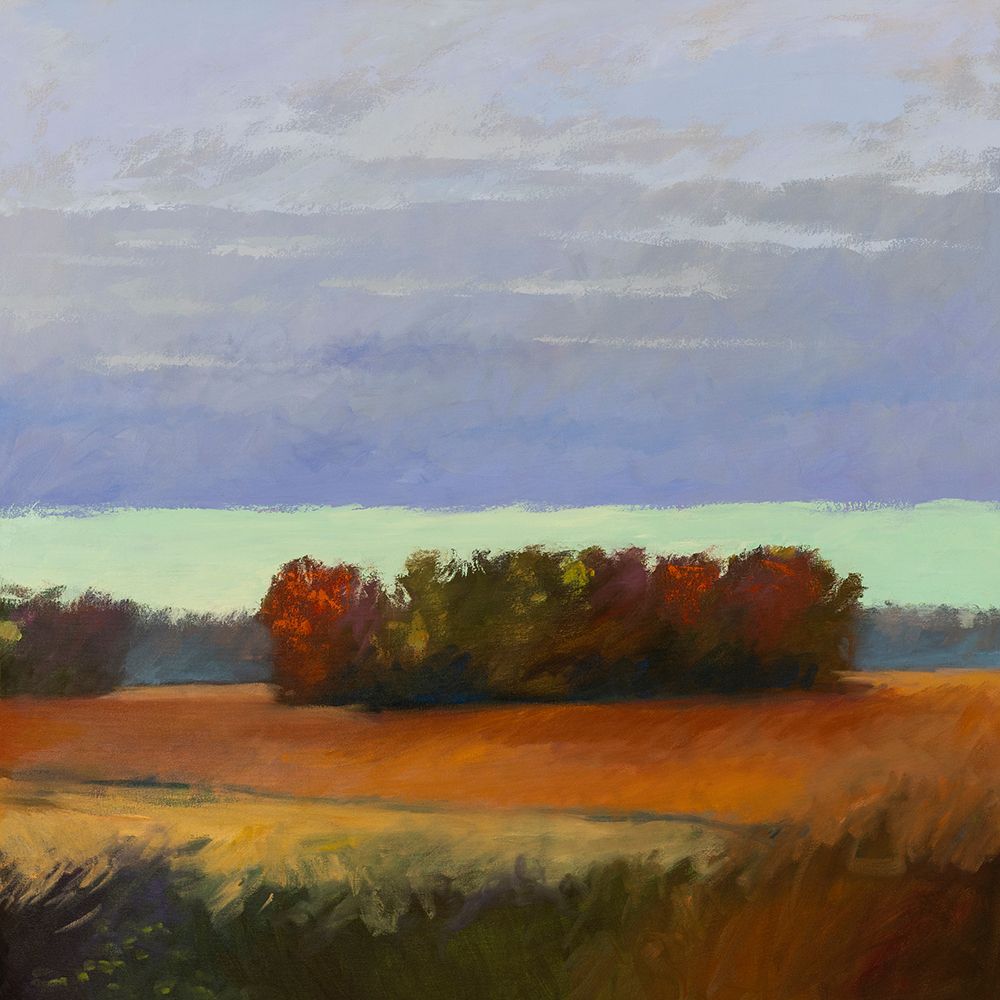 Storm Front with Green Sky 2 art print by Horace Day for $57.95 CAD