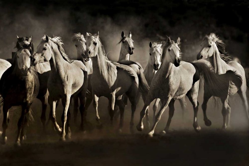 Dream Horses art print by Lisa Dearing for $57.95 CAD