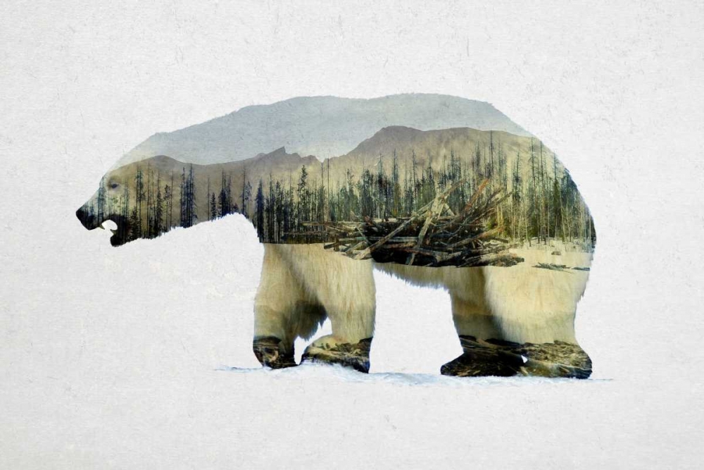 Arctic Polar Bear art print by Davies Babies for $57.95 CAD