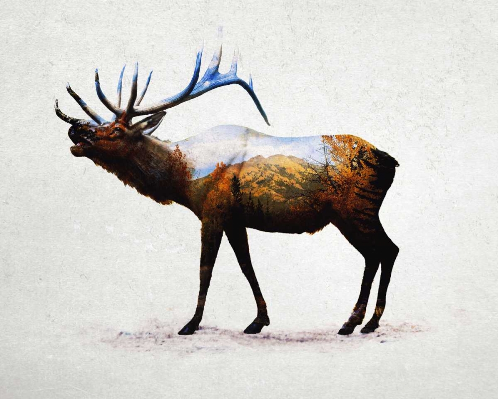 Rocky Mountain Elk art print by Davies Babies for $57.95 CAD