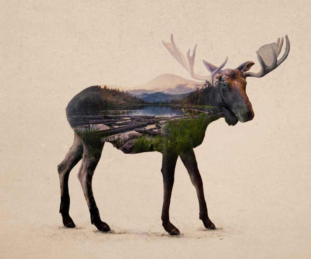 The Alaskan Bull Moose art print by Davies Babies for $57.95 CAD