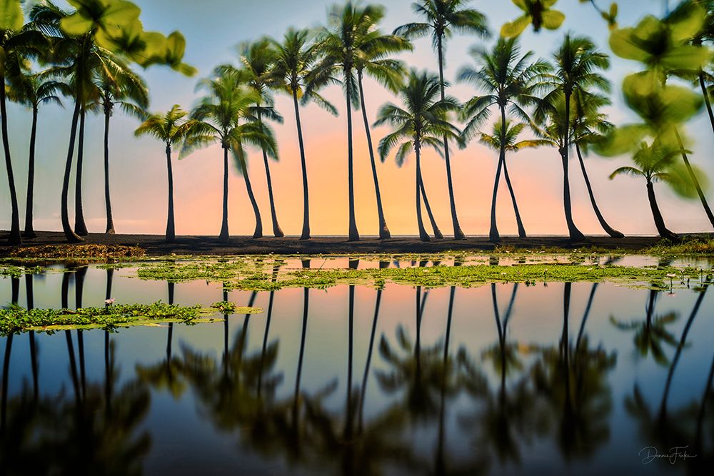 Palm Reflections art print by Dennis Frates for $57.95 CAD