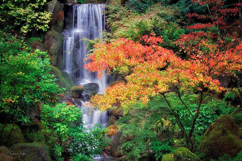 Fall Color With Waterfall art print by Dennis Frates for $57.95 CAD