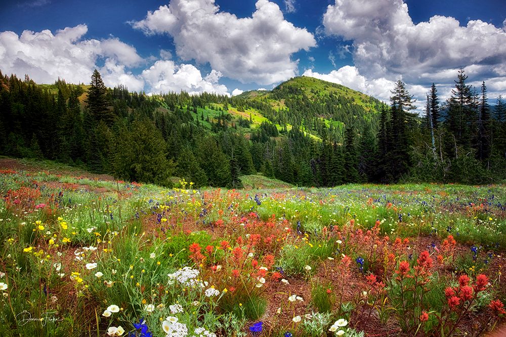 Echo Mountain art print by Dennis Frates for $57.95 CAD