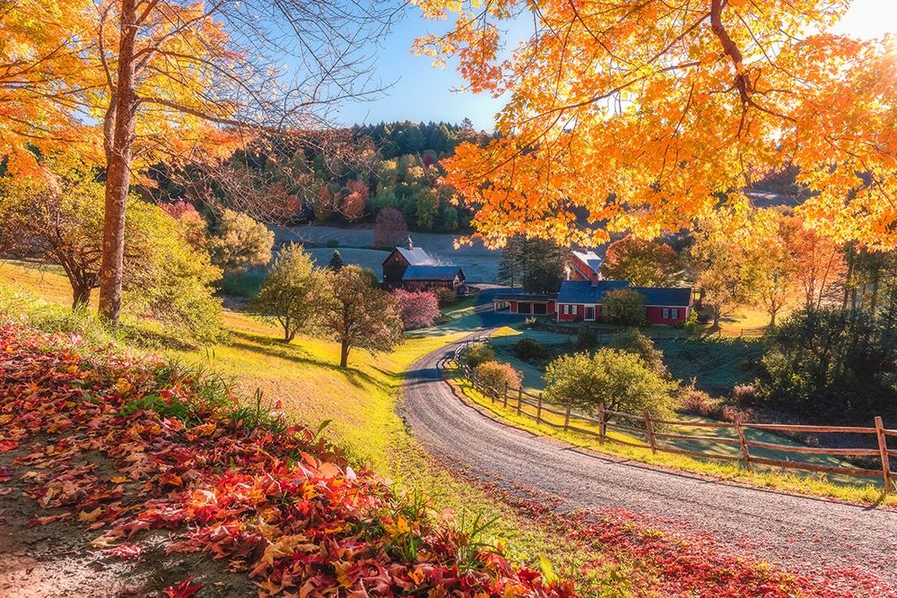 Sleepy Hollow Ranch, Vermont art print by Bruce Getty for $57.95 CAD