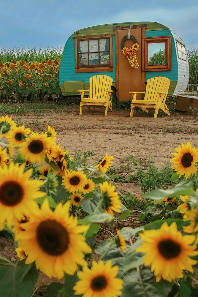 Vintage Camper and Sunflowers 1 art print by Carrie Ann Grippo-Pike for $57.95 CAD