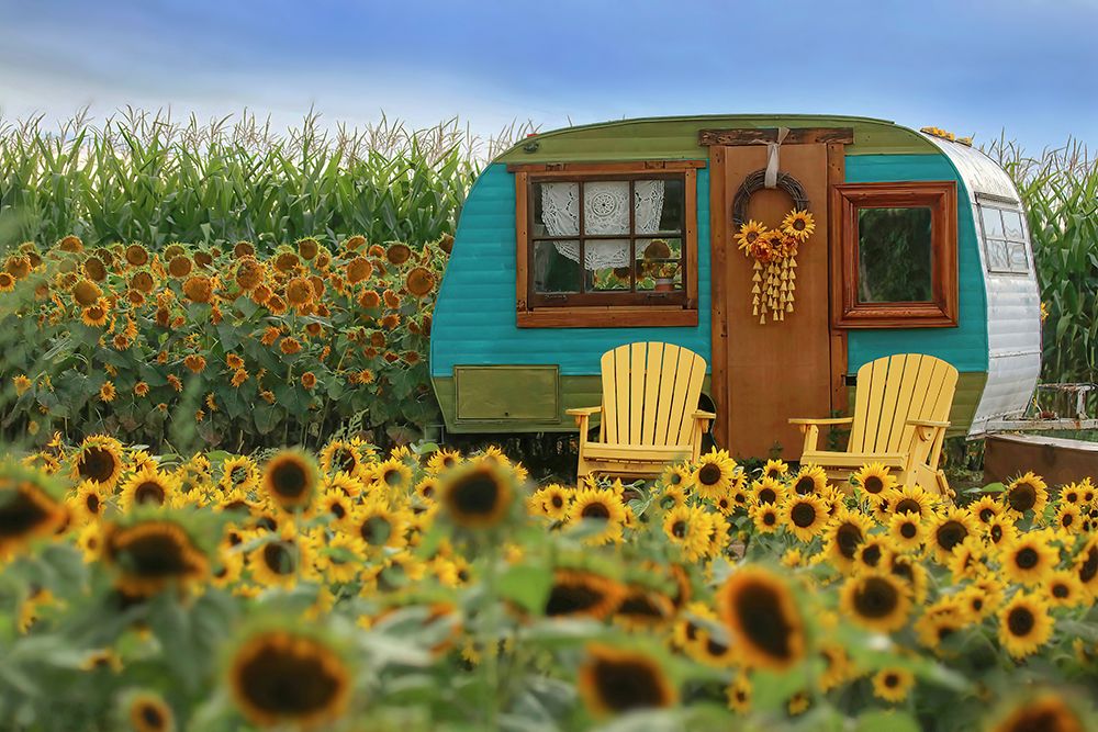 Vintage Camper and Sunflowers 2 art print by Carrie Ann Grippo-Pike for $57.95 CAD