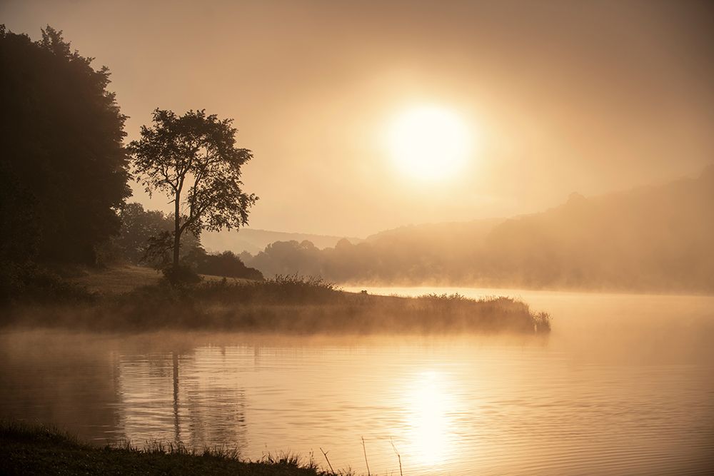 Misty Morning on Hidden Lake art print by GS Photo for $57.95 CAD