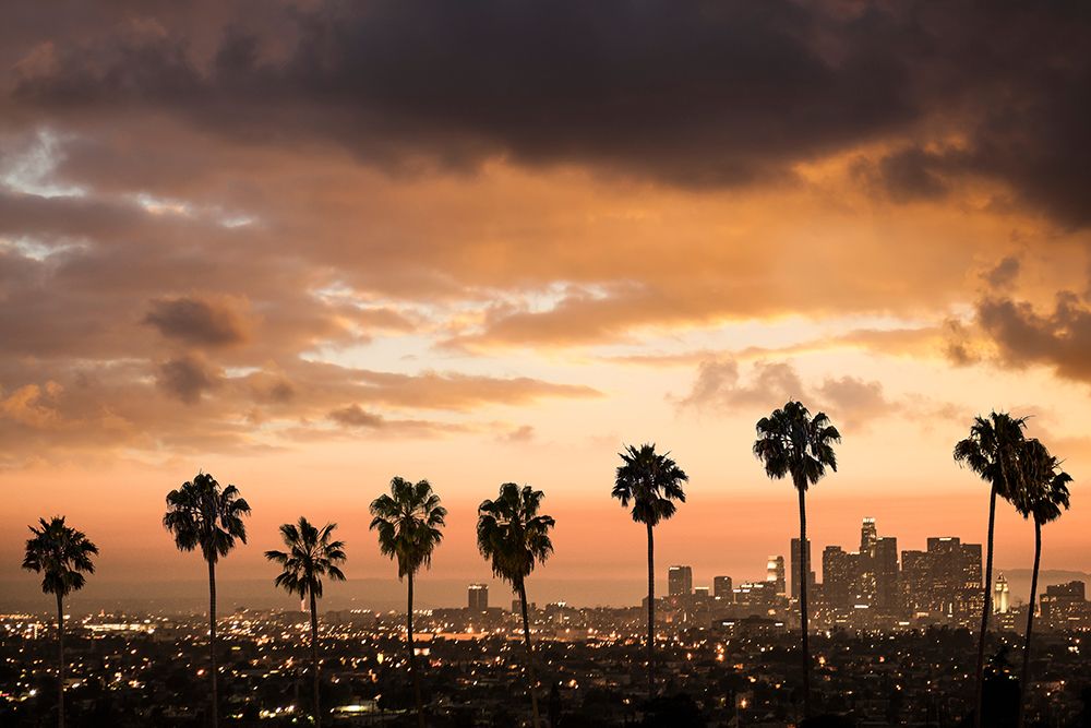 Palm Drive Los Angeles art print by GS Photo for $57.95 CAD