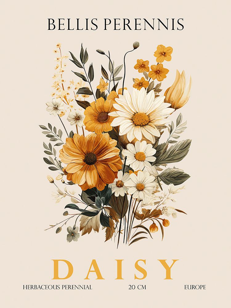 Daisy art print by Christopher Giampietro for $57.95 CAD