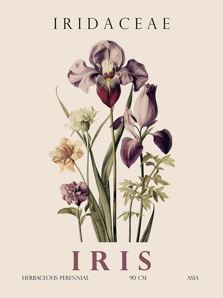 Iris art print by Christopher Giampietro for $57.95 CAD