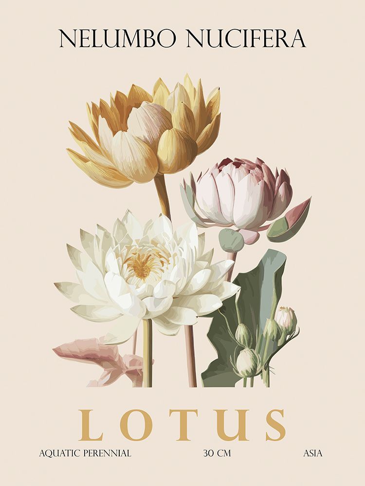 Lotus art print by Christopher Giampietro for $57.95 CAD