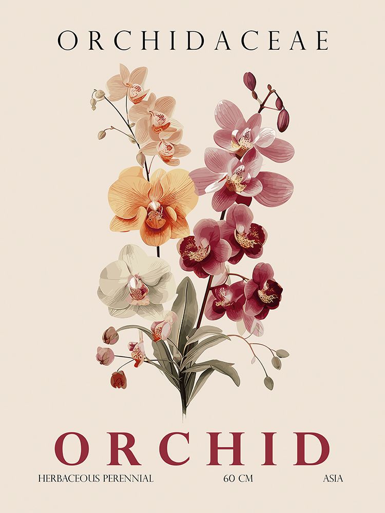 Orchid art print by Christopher Giampietro for $57.95 CAD