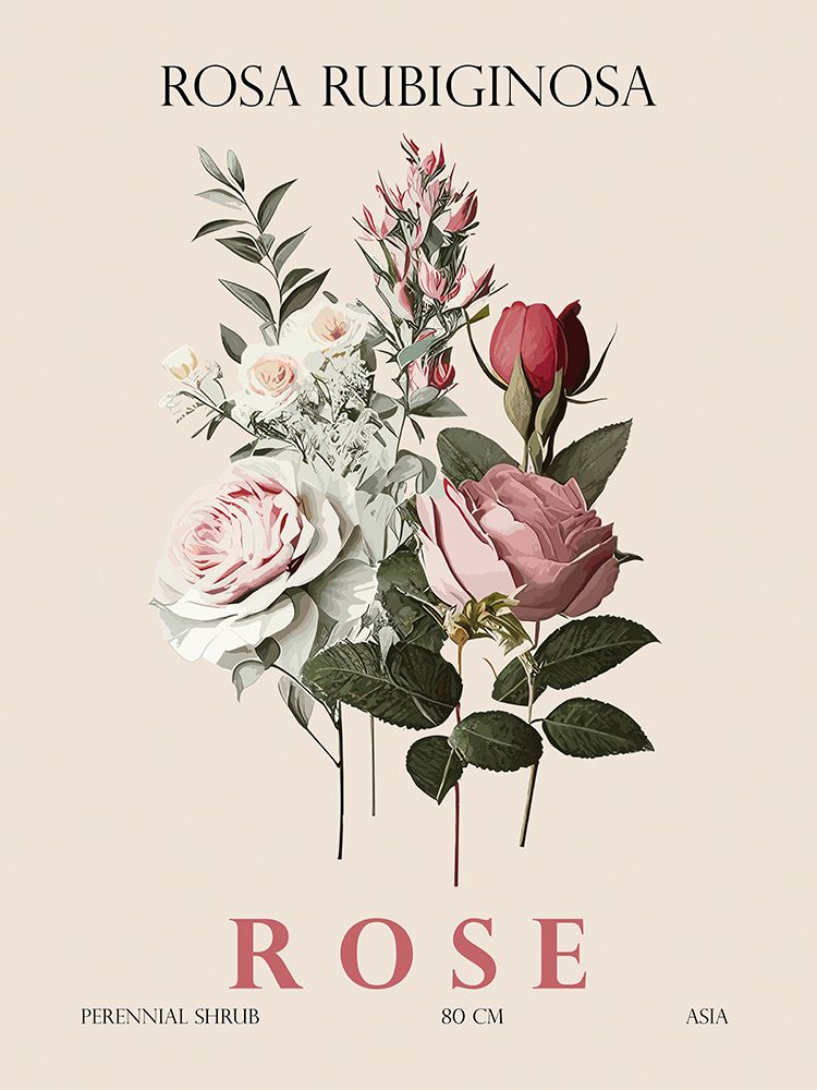 Rose art print by Christopher Giampietro for $57.95 CAD