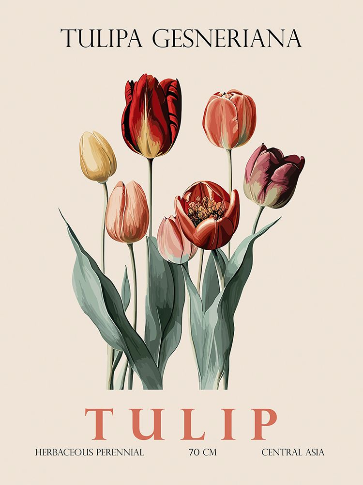 Tulip art print by Christopher Giampietro for $57.95 CAD
