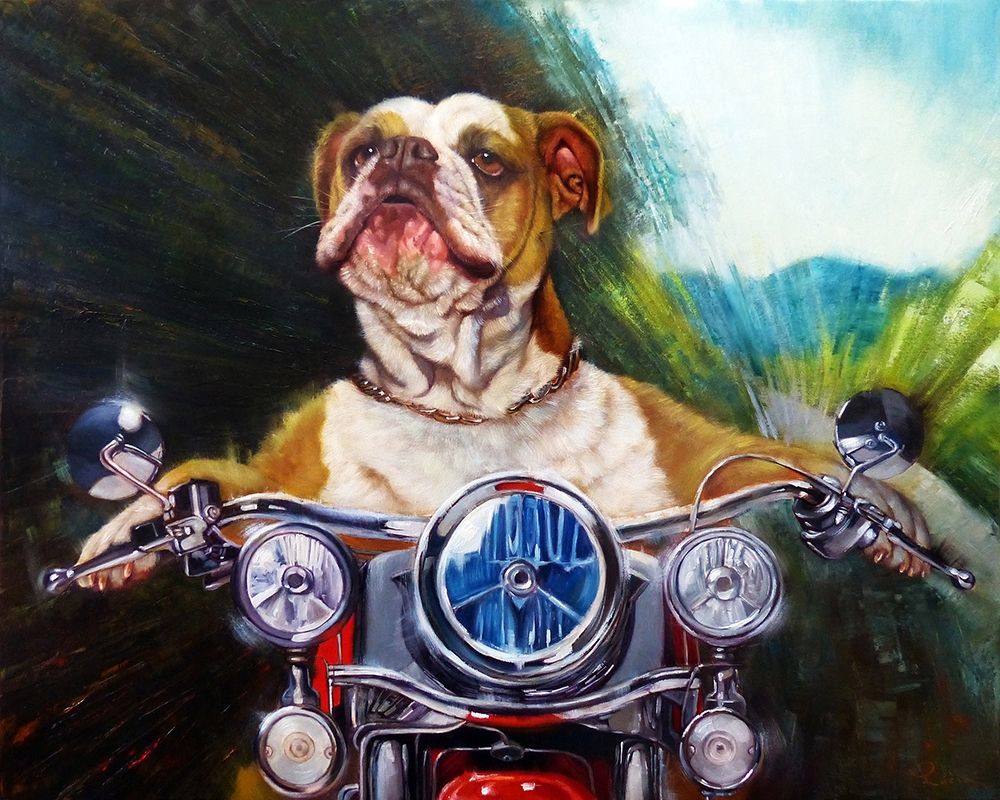 Born To Be Wild art print by Lucia Heffernan for $57.95 CAD