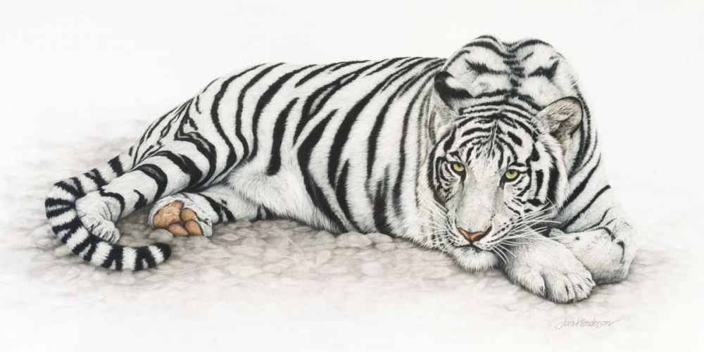 Siberian Tiger art print by Jan Henderson for $57.95 CAD
