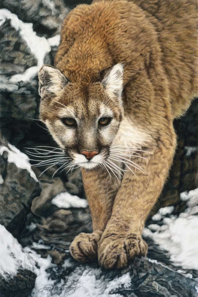 Silent Approach art print by Jan Henderson for $57.95 CAD