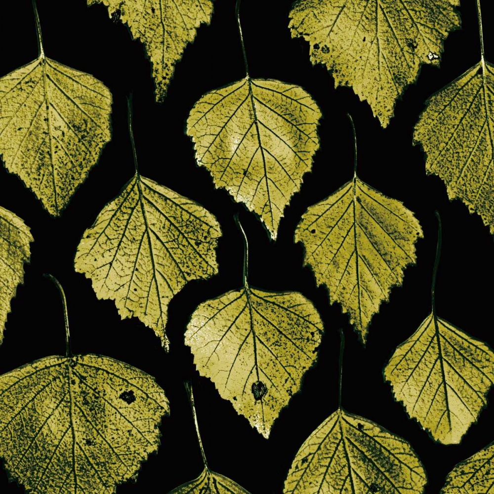 Green Leaves art print by PhotoINC Studio for $57.95 CAD