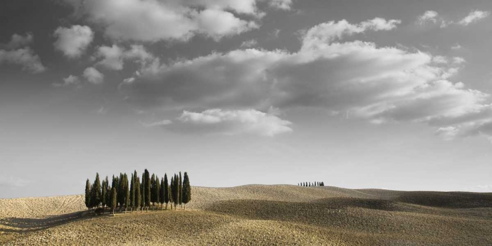 Toscana Landscape art print by PhotoINC Studio for $57.95 CAD