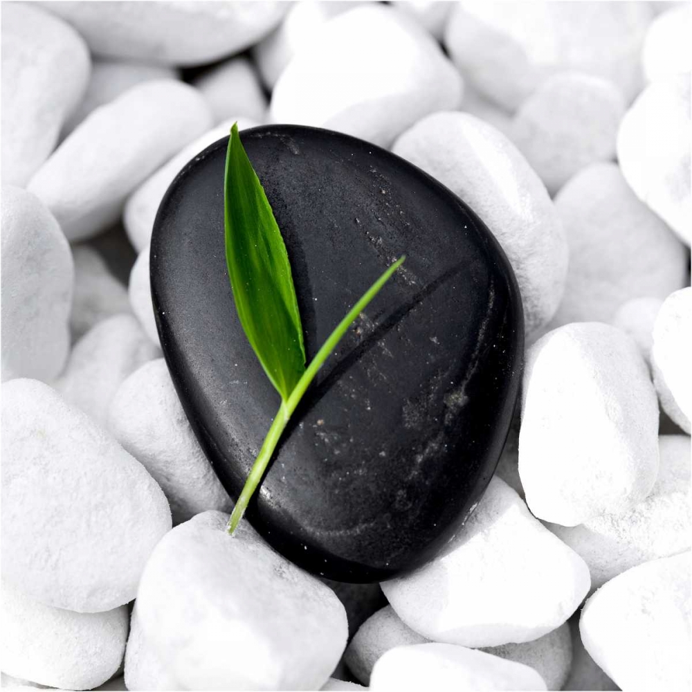 Zen Stone art print by PhotoINC Studio for $57.95 CAD